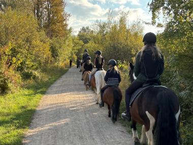 Ridning på fælleden på sti